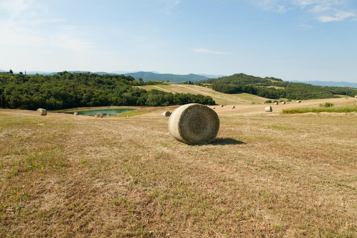 I Quattro Elementi Bed and Breakfast Volterra Exteriör bild